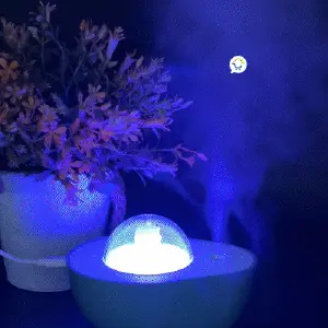Humidificador De Aguacate PVT-SQ001: ¡El Aroma Natural para Tu Hogar! - Humidificador De Aguacate PVT-SQ001