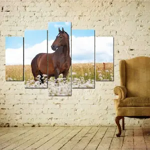 CABALLOS 54: El compañero perfecto para tus aventuras - CABALLOS 54