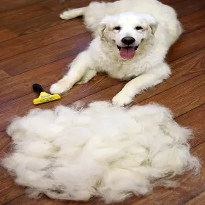 Cepillo Furminator M para Pelo Largo: ¡Dile Adiós al Pelo de Mascota! - Cepillo Furminator M Pelo Largo