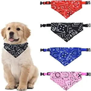 3 Collares Bandana Surtidos: ¡El toque final perfecto para tu estilo! - 3 COLLARES BANDANA SURTIDOS