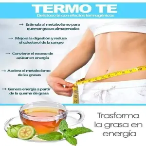 THERMO T3: El Control de Temperatura Perfecto - THERMO T3