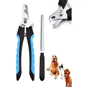 Cortaúñas para Mascotas: ¡El secreto para uñas perfectas! - Cortaúñas para mascotas