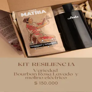 KIT RESILIENC IA: Protección y Adaptación para tu Negocio - KIT  RESILIENC IA